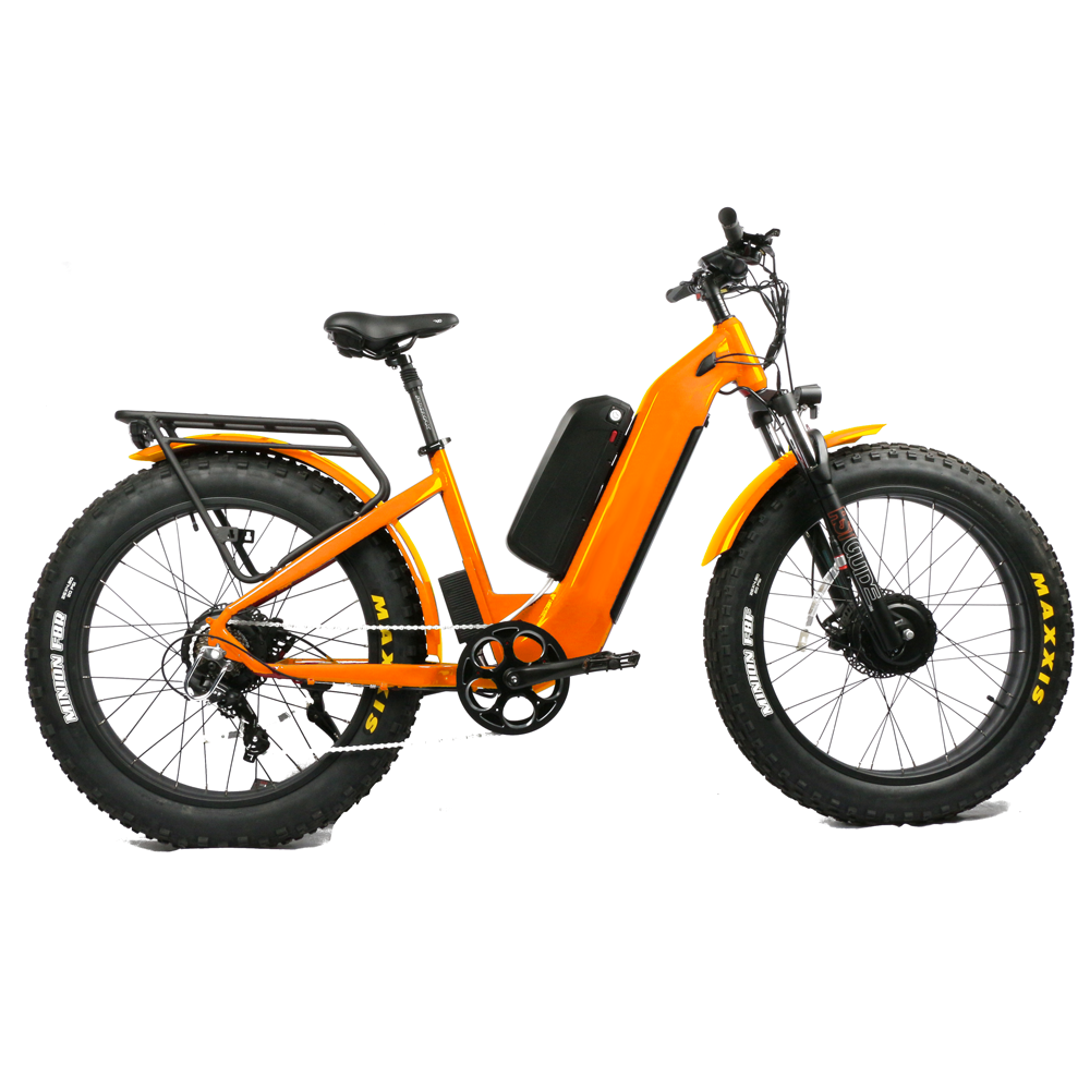 Dual Motor Electric Motorcycle Frame - Sepeda Gunung Listrik Motor Ganda 1000W